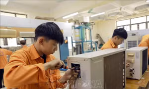 Nhân lực số - Nền tảng hạ tầng chất lượng quốc gia, thúc đẩy nâng cao năng suất