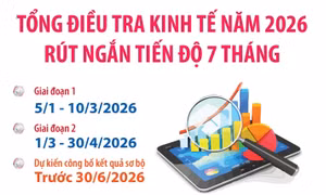 Kế hoạch Tổng điều tra kinh tế năm 2026 rút ngắn tiến độ 7 tháng