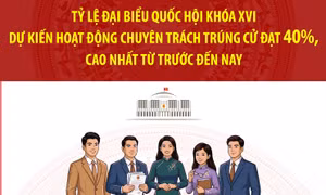 Tỷ lệ đại biểu Quốc hội khóa XVI dự kiến hoạt động chuyên trách trúng cử đạt 40%