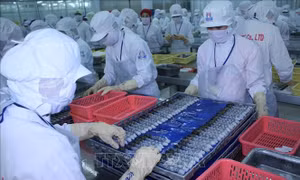 Giá trị xuất khẩu thủy sản giảm 1,2%