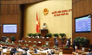 Kỳ họp thứ 3, Quốc hội khóa XV: Thông qua Luật Điện ảnh (sửa đổi)