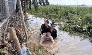 Triệt phá sòng bạc quy mô lớn, bắt giữ 36 đối tượng