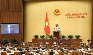 Ngăn chặn phần tử nhũng nhiễu lọt vào cơ quan hành chính nhà nước