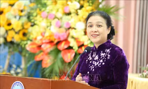Trao Kỷ niệm chương 'Vì hòa bình, hữu nghị giữa các dân tộc' tặng Đại sứ Đan Mạch tại Việt Nam