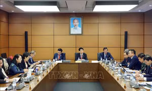 Cơ quan trình dự án luật phải chịu trách nhiệm đến cùng