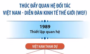 Thúc đẩy quan hệ đối tác Việt Nam - Diễn đàn Kinh tế thế giới 
