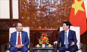 Chủ tịch nước Lương Cường tiếp Đại sứ các nước trình quốc thư
