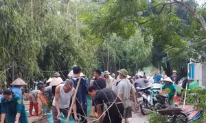 Hàng trăm người trắng đêm xử lý sự cố đê chống lũ rừng ngang ở Mỹ Đức (Hà Nội)