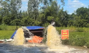 Phú Yên: Điều tiết nước chống hạn cho hơn 1.000 ha lúa vụ Hè Thu