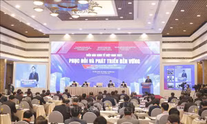 Đào tạo nghề góp phần cung ứng nhân lực có kỹ năng cho phục hồi kinh tế