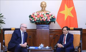 Bộ trưởng Ngoại giao Bùi Thanh Sơn tiếp Thượng nghị sỹ, đồng Bộ trưởng phụ trách thương mại và sản xuất Australia 