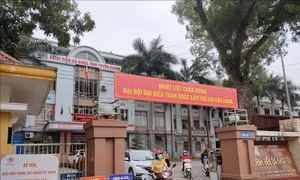 Chấm dứt hợp đồng với Công ty TNHH Dịch vụ bảo vệ Phương Đông STC sau xô xát với người nhà bệnh nhân