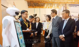 Xúc tiến giao thương kết nối thị trường Việt Nam - Hàn Quốc