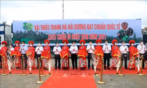 Hải Dương: Xuất khẩu những tấn vải thiều đầu tiên trong năm 2021 