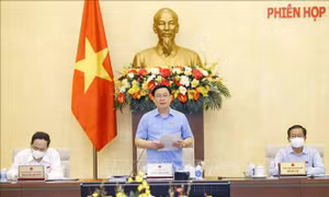 Khai mạc Phiên họp thứ 56 Ủy ban Thường vụ Quốc hội