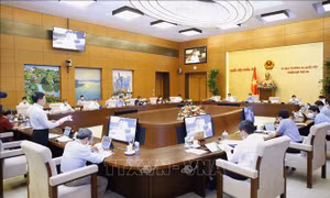 Tiếp tục Phiên họp thứ 56 của Ủy ban Thường vụ Quốc hội