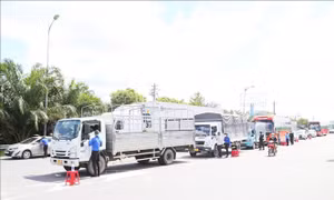 Sở Giao thông Vận tải hướng dẫn vận chuyển hàng hóa vào TP Cần Thơ