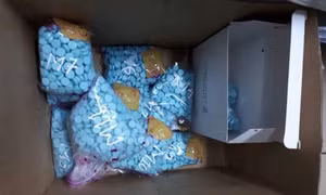 Chặn bắt vụ vận chuyển 24.000 viên ma túy tổng hợp từ Lào về Việt Nam