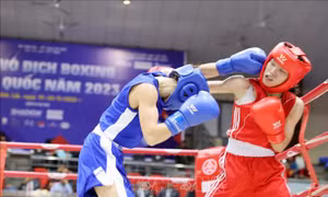 Khai mạc Giải Vô địch Boxing toàn quốc năm 2023