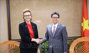 Phó Thủ tướng Vũ Đức Đam tiếp Đại diện thường trú UNDP
