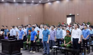 Vụ Tập đoàn Thuận An: 17 bị cáo kháng cáo xin giảm nhẹ hình phạt