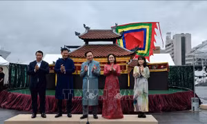 Lễ hội Việt Nam tại Kanagawa (Nhật Bản) 2026: Gắn kết trái tim, hướng tới tương lai