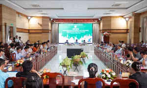 Lễ hội xoài Đồng Tháp diễn ra từ ngày 28/4 - 1/5