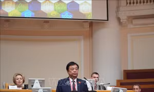 Việt Nam đóng góp tích cực tại Đại hội Sinh thái Quốc tế Nevsky lần thứ XI