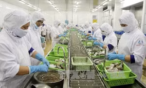 Năm 2023, Cà Mau đẩy mạnh xuất khẩu hàng hóa chủ lực
