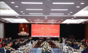 Hỗ trợ phát triển sản xuất tạo sinh kế, việc làm bền vững cho người nghèo