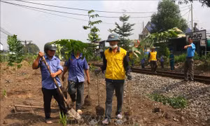 Đồng Nai lan tỏa phong trào 'đường tàu - đường hoa' 