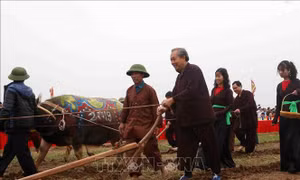 Phó Thủ tướng Trương Hòa Bình xuống đồng cày ruộng trong lễ Tịch điền