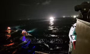 Tìm thấy thêm một thi thể vụ lật tàu cá ngoài khơi Hàn Quốc
