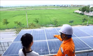 Kiến tạo thế chủ động cho an ninh năng lượng - Bài cuối: Khi nguồn lực nhỏ thành sức mạnh lớn