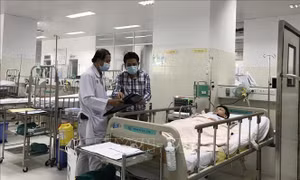 Vụ cây xanh bật gốc đè lên nhiều học sinh: 1 học sinh tử vong, 12 học sinh bị thương