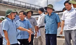 Đoàn công tác Chính phủ khảo sát tình hình sạt lở tại Cà Mau