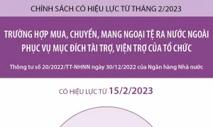 Chính sách có hiệu lực từ tháng 2/2023: Trường hợp mua, chuyển, mang ngoại tệ ra nước ngoài để tài trợ, viện trợ 