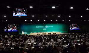 COP28: Chuyên gia đánh giá nhiều kết quả vượt mong đợi