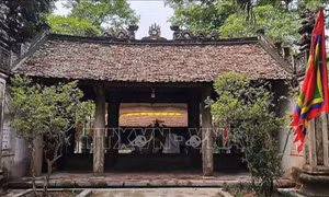 Bảo tồn di sản gắn với phát triển du lịch, dịch vụ giúp tạo sinh kế bền vững