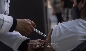 Từ bài toán công bằng đến chủ động sử dụng hiệu quả vaccine