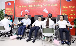 Giọt hồng blouse trắng đất Tổ: Huy động được trên 6.000 đơn vị máu 