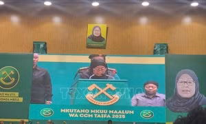 Việt Nam quan tâm tìm kiếm các cơ hội hợp tác với Tanzania 