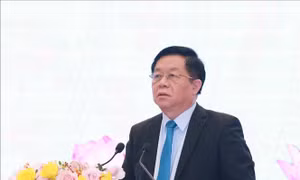 Đổi mới tư duy triển khai công tác thông tin đối ngoại, tuyên truyền biển, đảo và công tác biên giới đất liền