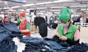 Nhà báo Thụy Sĩ: Việt Nam củng cố ổn định chính trị, duy trì đà cải cách kinh tế