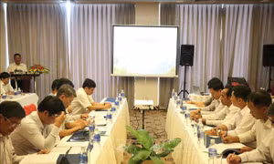 Khôi phục rừng bền vững trong bối cảnh biến đổi khí hậu
