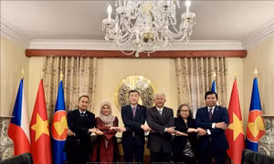 Việt Nam đi đầu thúc đẩy các mặt hoạt động của Ủy ban ASEAN tại Praha