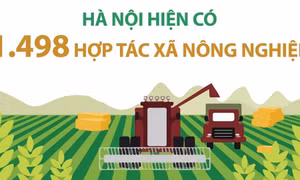 Hà Nội có 1.498 hợp tác xã nông nghiệp