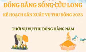 Kế hoạch sản xuất vụ Thu Đông 2023 của Đồng bằng sông Cửu Long