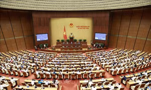 'Tìm thuốc chữa bệnh' sợ sai, sợ trách nhiệm