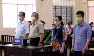 Chiếm đoạt tiền học phí của sinh viên, kế toán và thủ quỹ Sở Y tế lĩnh 24 năm tù 